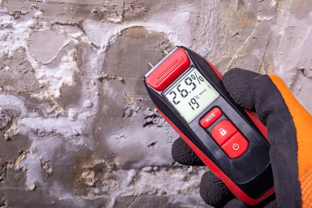 Best Bathroom Mold Remediation in Baltimore, OH